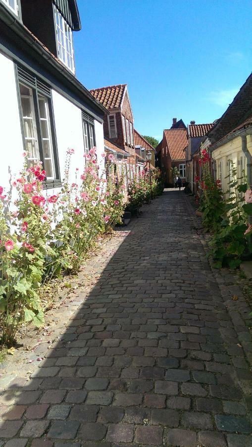 Peder Dovns Slippe Vila Ribe Exterior foto